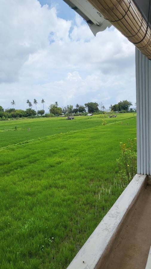 Kartika Villas Lovina Kültér fotó